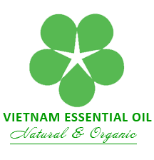 Tung Oil Vietnam